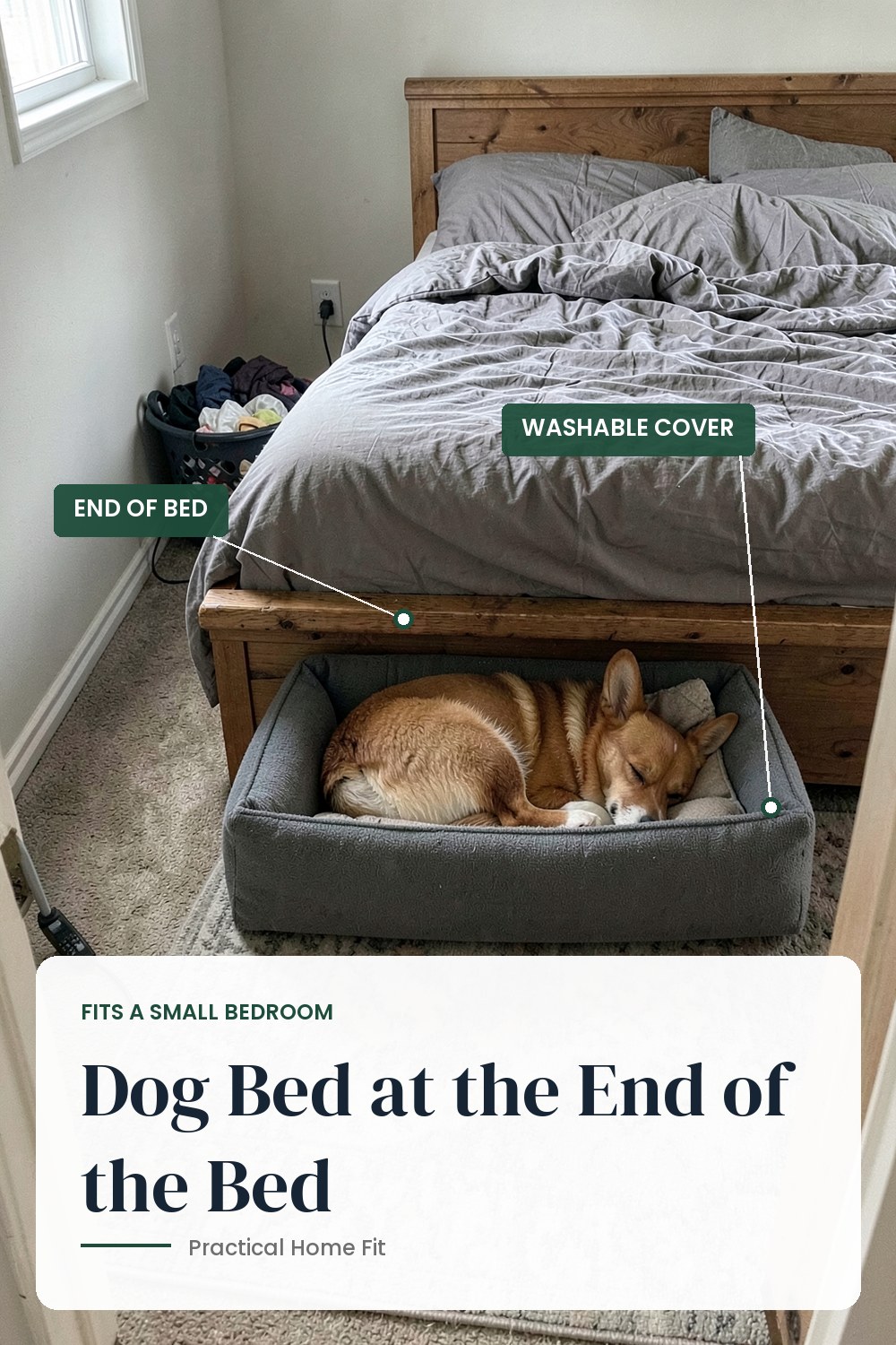 Small bedroom with a rectangular dog bed on the floor just past the footboard of a queen bed and a clear walkway beside it